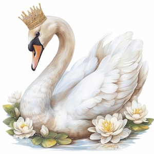 以下が含まれることがあります： 金色の王冠をかぶった白い白鳥のイラスト。白いスイレンと緑の葉に囲まれています。白鳥は黒い嘴を持ち、水面に浮かんでおり、穏やかでエレガントなシーンを作り出しています。