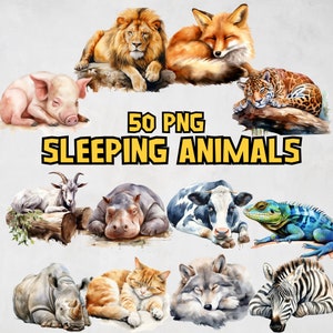Bundle de cliparts aquarelle animaux endormis, joli bébé animal PNG, Images de renard endormi, ours, tigre, Lion Illustrations, usage Commercial