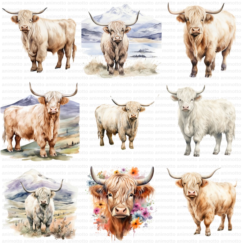 Watercolor Highland Cows Clipart Bundle, Highland Cow Illustrations, Nursery Decor Clipart Set, Transparent PNG Images, Commercial Use