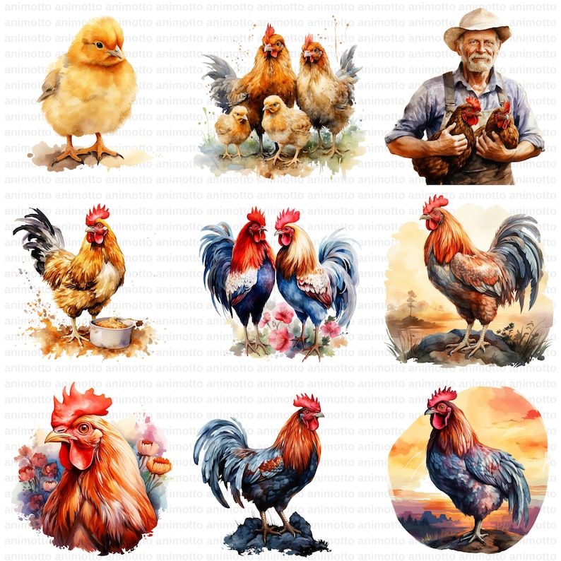 Watercolor Chickens Clipart Bundle | Roaster Clipart Set, Animal PNG ...