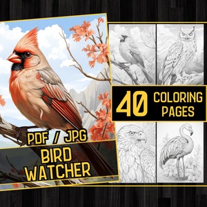Bird Watcher 40 Coloring Page Book, Adults kids Instant Download - Grayscale Coloring Pages - Printable PDF, eagle coloring, parrot coloring