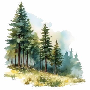 Lot de 10 cliparts forêt brumeuse, illustrations de paysages forestiers, clipart aquarelle imprimable, JPG haute qualité, créations en papier, journaux indésirables