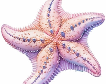 Puede incluir: Ilustración a la acuarela de una estrella de mar. La estrella de mar tiene cinco brazos y es principalmente rosa con acentos azules y morados. La superficie está cubierta de pequeñas protuberancias y los bordes están deshilachados.