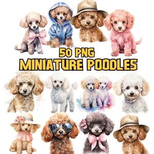 Pacote de clipart de poodles miniatura em aquarela, conjunto de imagens de cachorro fofo, filhote de cachorro PNG, raça de cachorro, gráficos de amantes de cachorro, ilustrações de animais de estimação, uso comercial