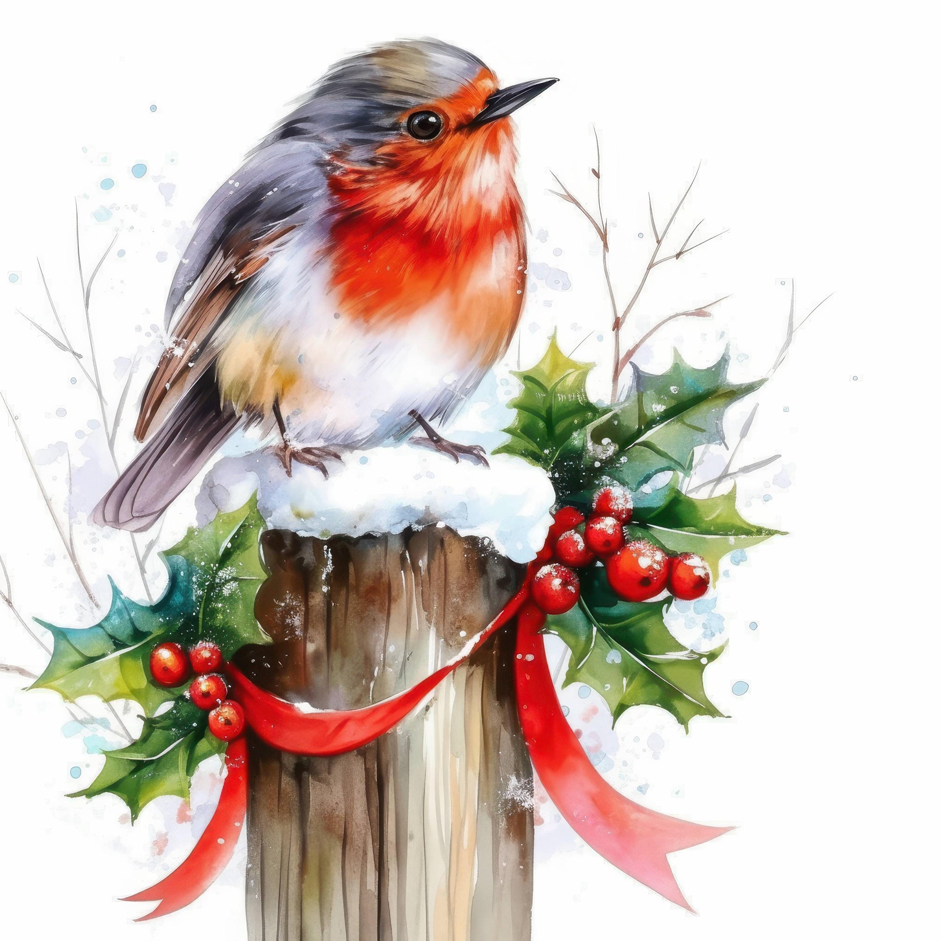 13 Cute Christmas Robins Clipart Bundle, Winter Robin Illustrations ...