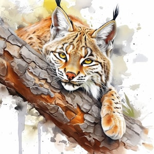 Paquete de 14 imágenes prediseñadas de linces en la naturaleza, ilustraciones e imágenes de linces, imágenes prediseñadas de acuarela imprimibles, JPG de alta calidad, manualidades de papel, revistas basura