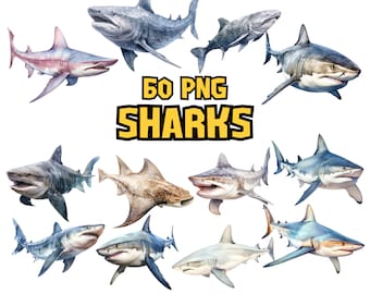 Watercolor Sharks Clipart | Great White Shark, Tiger Shark, Bull Shark, Sea Animal Illustrations | Instant Download for Commercial Use
