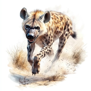 14 Hunting Hyena Clipart Bundle, Safari Animal Illustrations, Printable Watercolor Cliparts, High Quality JPGs, Paper crafts, Junk Journals