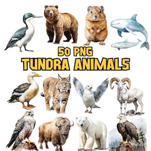 Lot de cliparts aquarelle animaux de la toundra, phoque, cygne, tigre de Sibérie, illustrations d'Oies des neiges, de mouflons de Dall | Téléchargement instantané Utilisation commerciale