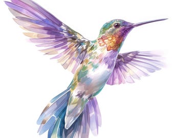 Paquete de 18 imágenes prediseñadas de colibríes, ilustraciones coloridas de aves, imágenes prediseñadas de acuarela imprimibles, JPG de alta calidad, descarga digital, uso comercial.