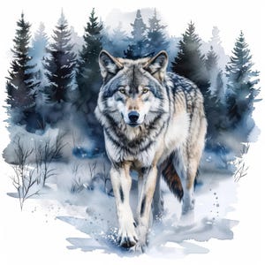 13 Wolf in Winter Clipart Bundle, Printable Watercolor clipart, High Quality JPGs, Digital download, High resolution, Paper crafts, journals