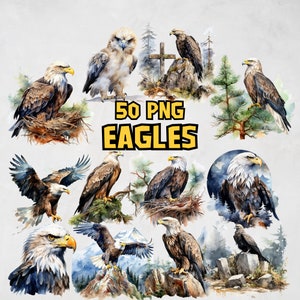 Aquarel Eagles clipartbundel, Eagle PNG clipartset, Amerikaanse zeearend, American Eagle, Forest Alpine Avian Bird illustraties, commercieel gebruik