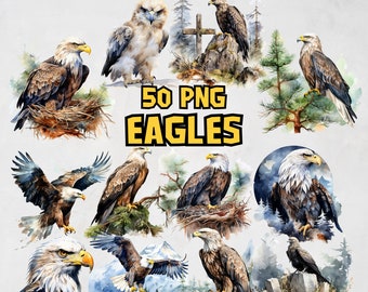 Watercolor Eagles Clipart Bundle,Eagle PNG Clipart Set, Bald Eagle, American Eagle, Forest Alpine Avian Bird Illustrations, Commercial Use