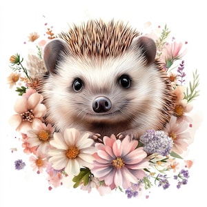Lot de 13 cliparts hérisson floral, illustration d'animaux aquarelle imprimable, fichiers JPG de haute qualité, téléchargement numérique, créations en papier, journaux indésirables