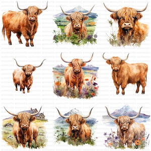 Watercolor Highland Cows Clipart Bundle, Highland Cow Illustrations, Nursery Decor Clipart Set, Transparent PNG Images, Commercial Use