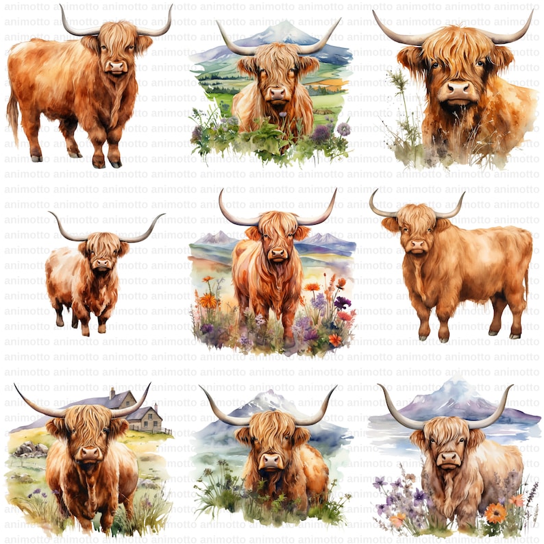 Watercolor Highland Cows Clipart Bundle, Highland Cow Illustrations, Nursery Decor Clipart Set, Transparent PNG Images, Commercial Use