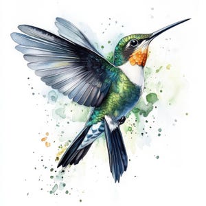 16 Hummingbird Watercolor Clipart Bundle, Printable Colibri Illustrations, High Quality JPGs, Digital download, Paper craft, junk journals