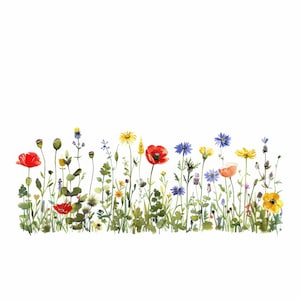 Paquete de 14 imágenes prediseñadas con borde de flores silvestres, imágenes prediseñadas digitales, imágenes prediseñadas de acuarela, imágenes de alta calidad, descarga digital, manualidades de papel, diarios basura