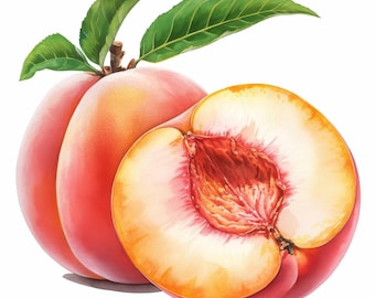 16 Peaches Clipart Bundle, Peach Fruit Clipart Images, Printable Watercolor Clipart, High Quality JPG, Paper craft, Junk Journals, Cards