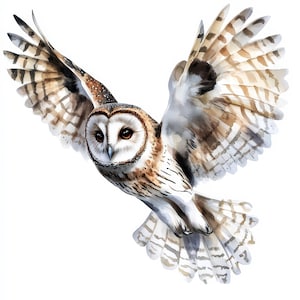 14 Wunderschöne Eule, fliegende Clipart-Bundle, süße Eule, digitale Clipart, Aquarellbild, hochwertige JPG, druckbare Grafik, digitaler Download