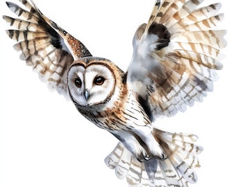 14 Bundle de cliparts volants Georgeous Owl, hibou mignon, clipart numérique, image aquarelle, haute qualité JPG, graphique imprimable, téléchargement numérique