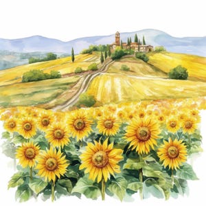 13 zonnebloemweide clipartbundel, zonnebloemveld illustraties, afdrukbare aquarel clipart, hoge kwaliteit JPG, Paper Craft, Junk Journal