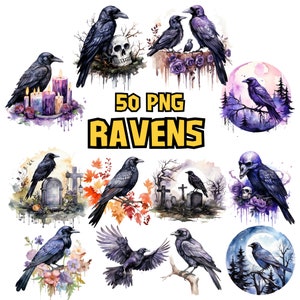 Watercolor Ravens Clipart Bundle, Black Bird, Gothic Animal, Dark and Mystic Element, Raven Illustrations, Raven PNG Graphics Commercial Use