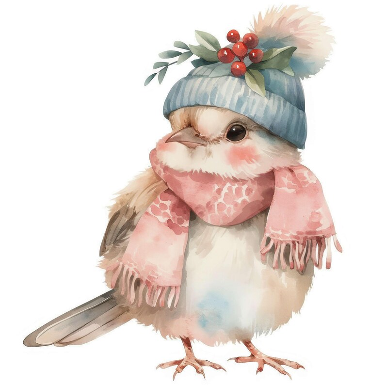 12 Funny Robin Clipart Set, Printable Watercolor Christmas Robin ...