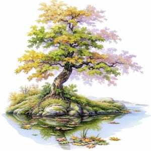 Puede incluir: Pintura a la acuarela de un árbol con hojas verdes y amarillas, situado en una pequeña isla con rocas y hierba. El reflejo del árbol es visible en el agua, con hojas caídas esparcidas.