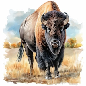15 American Bison Clipart Bundle, Card Making Illustrations, Printable Watercolor Animal clipart, High Quality JPG, Digital download, Crafts