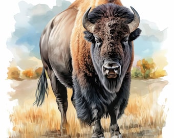 15 American Bison Clipart Bundle, Card Making Illustrations, Printable Watercolor Animal clipart, High Quality JPG, Digital download, Crafts