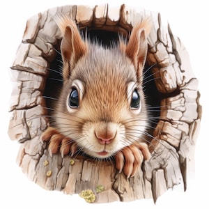 Lot de 14 cliparts écureuil dans l'arbre, illustrations d'écureuils mignons, clipart aquarelle imprimable, JPG haute qualité, créations en papier, journaux indésirables