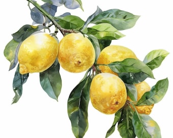 11 Lemon Branch Clipart Bundle, Lemon Tree Images Illustrations, Printable Watercolor Clipart, High Quality JPG, Paper craft, Junk Journals