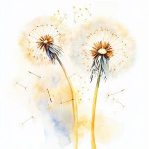 17 Dandelion Clipart Bundle, Botanical Dandelion Set, Printable Watercolor clipart, High Quality JPG, Digital download, Paper craft, journal