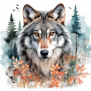 Paquete de 18 imágenes prediseñadas de lobos en verano, ilustración de lobos en la naturaleza, imágenes prediseñadas de acuarela imprimibles, archivos JPG de alta calidad, manualidades de papel, diarios