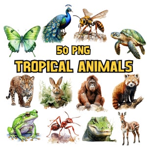 Watercolor Tropical Animals Clipart Bundle | Flamingo, Parrot, Chameleon, Frog, Jungle Animal Illustration Clipart Set , Commercial Use