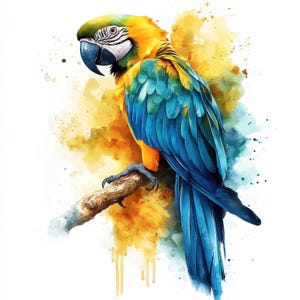 12 Georgeous Parrots Clipart Bundle, Illustrazione clipart acquerello stampabile, JPG di alta qualità, Download digitale, Carta artigianale, Creazione di biglietti