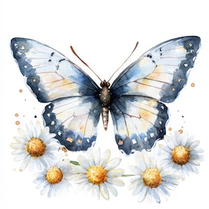16 Butterfly and Daisies Clipart Bundle, Floral Butterflies, Printable Watercolor clipart, High Quality JPGs, Digital download, Paper crafts