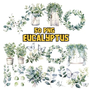 Bundle de cliparts eucalyptus aquarelle, ensemble de cliparts fleurs de printemps, bouquet de fleurs, graphiques PNG, illustrations de feuilles vertes, usage Commercial
