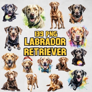Watercolor Labrador Clipart Bundle, Watercolor Dog Clipart, Cute Labrador Retriever PNG Graphic, Lab PNG, Labrador Image Set, Commercial Use