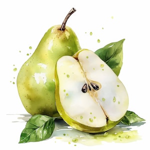 20 Pear Clipart Bundle, clipart di frutta di pera ad acquerello stampabile, JPG di alta qualità, download digitale, artigianato di carta, creazione di biglietti, diario spazzatura
