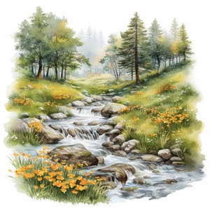 13 Forest River clipartbundel, natuurlijke afbeeldingen illustraties, afdrukbare aquarel clipart, hoge kwaliteit JPG, Paper Craft, Junk Journals
