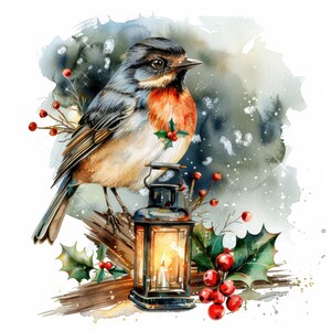 20 Christmas Robin Clipart Bundle Set 2, Printable Watercolor Clipart ...