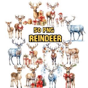 Watercolor Reindeer Clipart Bundle, Painted Reindeer Clipart Set, Winter Clipart PNG Graphics, Christmas Illustrations, Commercial Use