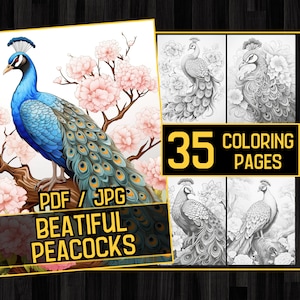 Beatiful Peacocks 35 Coloring Page Book, Adults kids Instant Download - Grayscale Coloring Pages - Printable PDF, intricate coloring book