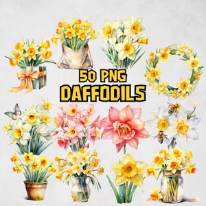 Watercolor Daffodils Clipart Bundle, Spring Flower Clipart Set, Floral Images, Yellow Flower PNG, Daffodil Illustrations, Commercial Use