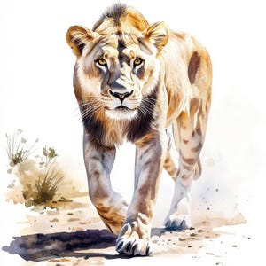 Paquete de 27 imágenes prediseñadas de leona, imágenes prediseñadas de leona en acuarela imprimibles, JPG de alta calidad, descarga digital, manualidades de papel, sublimación de león, diario