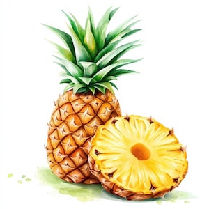 Paquete de 19 imágenes prediseñadas de piña realistas, ilustración de fruta en acuarela imprimible, JPG de alta calidad, descarga digital, manualidades de papel, fabricación de tarjetas