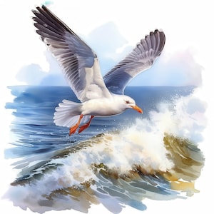15 Coastal Seagull Clipart Bundle, Printable Watercolor Seagull with Sea Images Illustrations, High Quality JPGs, Junk Journals, Paper Craft