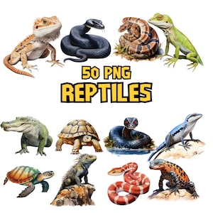 Répteis em aquarela Clipart | Camaleão, Lagarto, Cobra, Tartaruga, Tartaruga, Iguana, Ilustração animal | Download instantâneo para uso comercial
